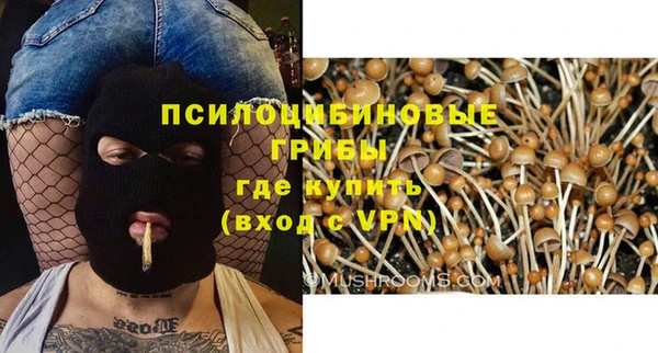 герыч Алзамай